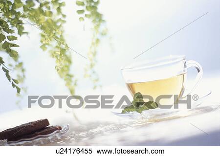 Stock Photography - Herbal Tea. Fotosearch