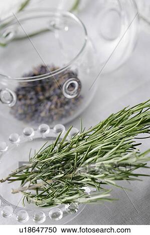 Stock Image - Herbs in jar and bowl, white background. Fotosearch