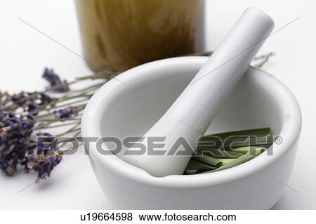 Stock Photo - Herbs in mortar, white background. Fotosearch
