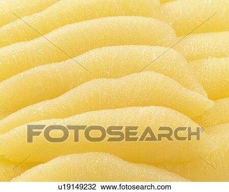 Stock Image - Herring roe. Fotosearch