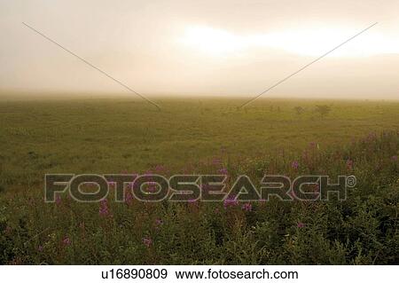 Highland View Large Photo Image Stock Photo - Highland. Fotosearch