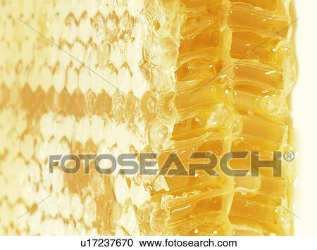 Honey comb, close up View Large Photo Image Stock Image - Honey comb, close up. Fotosearch