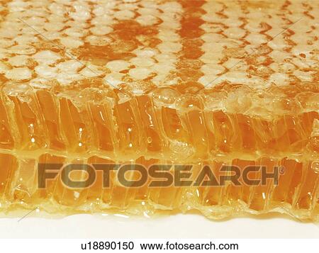 Honeycomb View Large Photo Image Stock Image - Honeycomb. Fotosearch