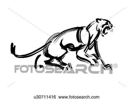 Howling Lion, Black Ink Illustration View Large Photo Image Stock Photograph - Howling Lion, Black Ink Illustration. Fotosearch