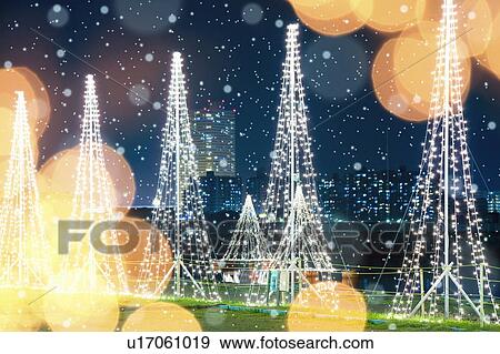 Stock Photo - Illuminated Christmas Trees. Fotosearch