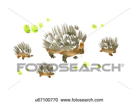 Stock Image - Illustration of four hedgehogs, white background. Fotosearch