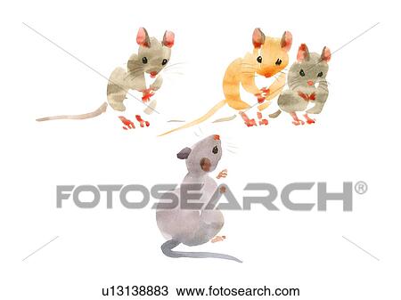 Illustration of four mice, white background View Large Photo Image Stock Image - Illustration of four mice, white background. Fotosearch