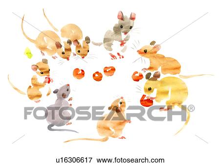 Illustration of mice eating and looking at cherries, white background View Large Photo Image Stock Photo - Illustration of mice eating and looking at cherries, white background. Fotosearch