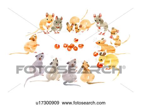 Stock Photo - Illustration of mice eating and looking at cherries, white background. Fotosearch