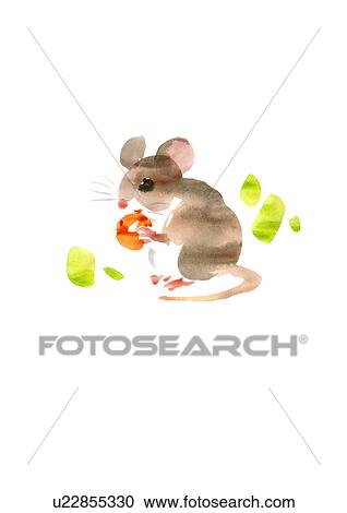 Illustration of mouse eating cherry, white background, copy space View Large Photo Image Stock Image - Illustration of mouse eating cherry, white background, copy space. Fotosearch