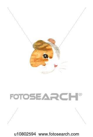 Illustration of mouse, white background, copy space View Large Photo Image Picture - Illustration of mouse, white background, copy space. Fotosearch