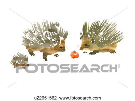 Illustration of three hedgehogs looking at cherry, white background View Large Photo Image Stock Image - Illustration of three hedgehogs looking at cherry, white background. Fotosearch