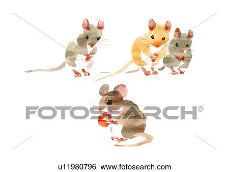 Stock Photograph - Illustration of three mice looking at mouse eating cherry, white background. Fotosearch