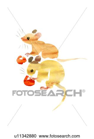 Illustration of two mice eating cherries, white background View Large Photo Image Stock Image - Illustration of two mice eating cherries, white background. Fotosearch