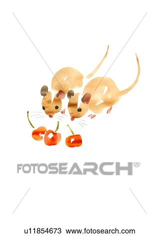 Illustration of two mice looking at cherries, white background View Large Photo Image Stock Image - Illustration of two mice looking at cherries, white background. Fotosearch
