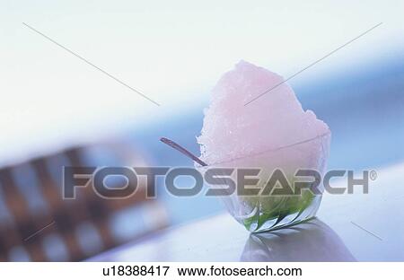 Japanese Oyster Ice on table beside sea View Large Photo Image Stock Photo - Japanese Oyster Ice on table beside sea. Fotosearch
