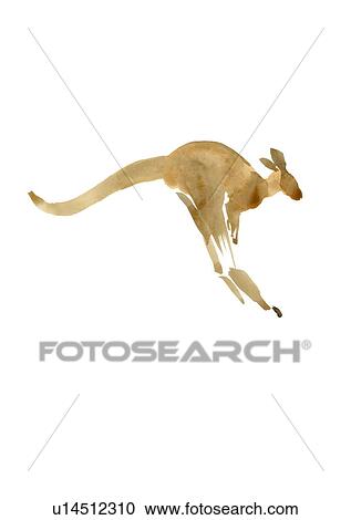Jumping Kangaroo, Ink Brush Illustration View Large Photo Image Stock Image - Jumping Kangaroo, Ink Brush Illustration. Fotosearch