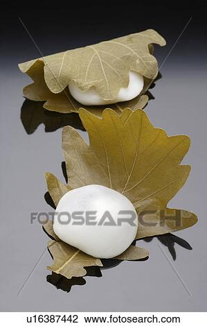 Stock Image - Kashiwa mochi. Fotosearch
