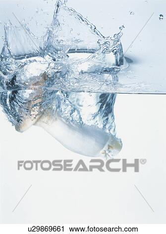 Stock Image - King oyster mushroom falling into water. Fotosearch
