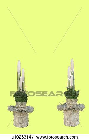 Stock Photo - Kodomatsu's ornaments with bamboo and pine needles. Fotosearch