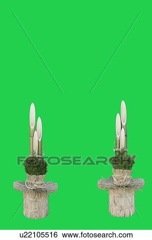 Kodomatsu's ornaments with bamboo and pine needles View Large Photo Image Stock Photograph - Kodomatsu's ornaments with bamboo and pine needles. Fotosearch