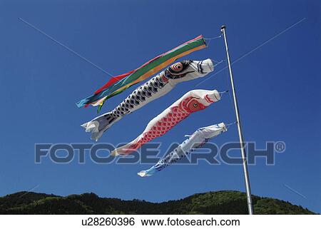 Stock Photograph - Koinobori. Fotosearch