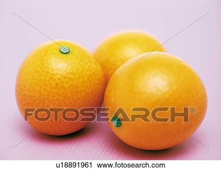 Kumquats View Large Photo Image Stock Image - Kumquats. Fotosearch