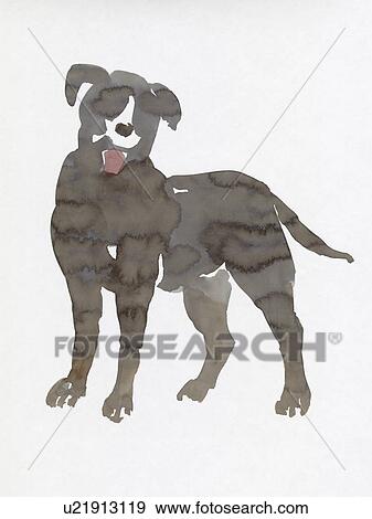 Stock Photo - Labrador Retriever, Water Color Painting. Fotosearch