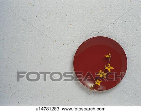 Lacquered plate View Large Photo Image Stock Image - Lacquered plate. Fotosearch