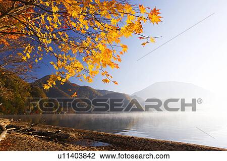 Stock Image - Lake Chuzenji, Nikko city, Tochigi Prefecture, Honshu, Japan. Fotosearch