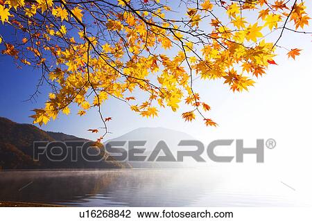 Lake Chuzenji, Nikko city, Tochigi Prefecture, Honshu, Japan View Large Photo Image Stock Image - Lake Chuzenji, Nikko city, Tochigi Prefecture, Honshu, Japan. Fotosearch