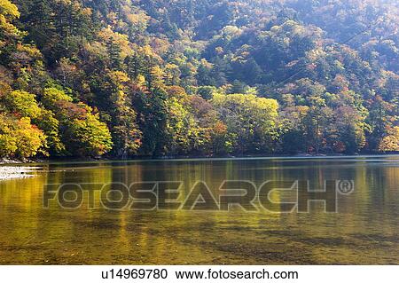 Stock Image - Lake Nishino and forest in autumn, Nikko city, Tochigi Prefecture, Honshu, Japan. Fotosearch