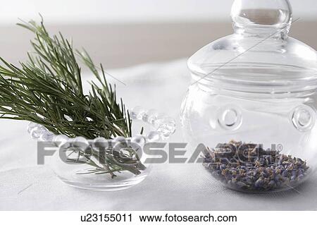 Lavender leaves and flowers View Large Photo Image Stock Image - Lavender leaves and flowers. Fotosearch