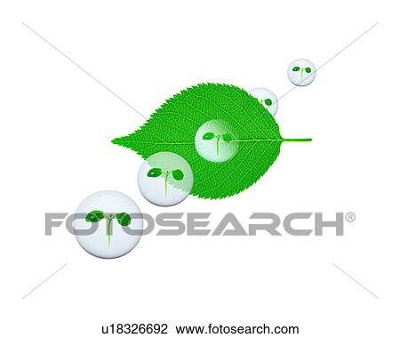 Stock Image - Leaf and balls with image of seedlings, computer graphic, white background. Fotosearch