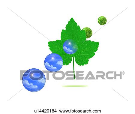Picture - Leaf and balls with image of trees and sky, computer graphic, white background. Fotosearch
