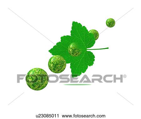 Leaf and balls with image of trees, computer graphic, white background View Large Photo Image Stock Image - Leaf and balls with image of trees, computer graphic, white background. Fotosearch