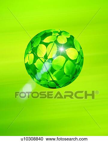 Leaf and branches in a sphere View Large Photo Image Stock Image - Leaf and branches in a sphere. Fotosearch