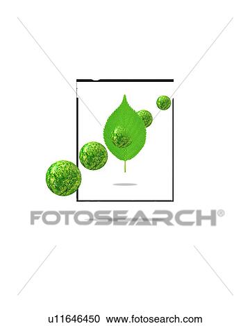 Leaf and spheres in a frame View Large Photo Image Stock Image - Leaf and spheres in a frame. Fotosearch