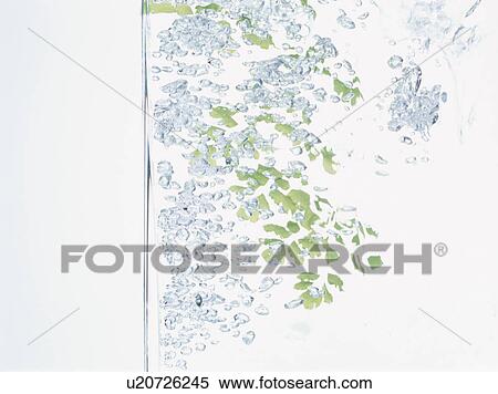 Leaf falling into water View Large Photo Image Stock Photography - Leaf falling into water. Fotosearch