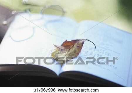 Stock Photograph - Leaf on book next to glasses. Fotosearch