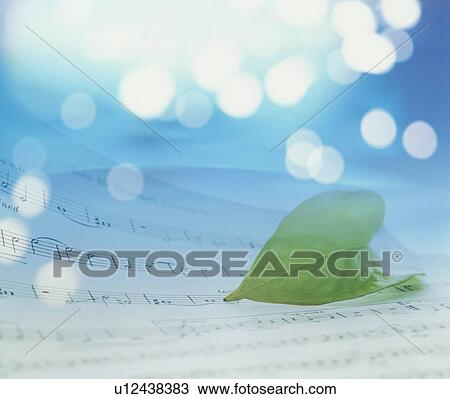 Stock Image - Leaf on music score. Fotosearch
