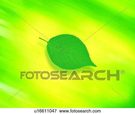 Stock Photo - Leaf. Fotosearch
