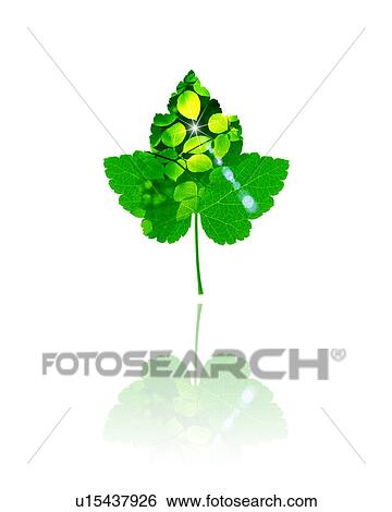 Leaf with image of leaves, computer graphic, white background View Large Photo Image Stock Photograph - Leaf with image of leaves, computer graphic, white background. Fotosearch