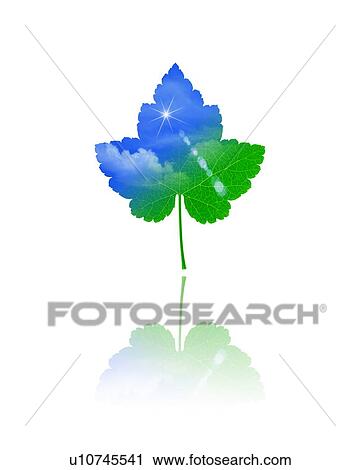 Stock Image - Leaf with image of sky, computer graphic, white background. Fotosearch