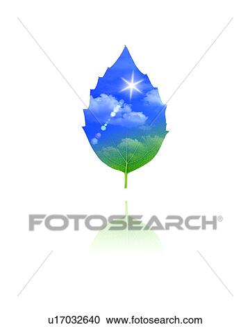 Stock Image - Leaf with image of sky, computer graphic, white background. Fotosearch