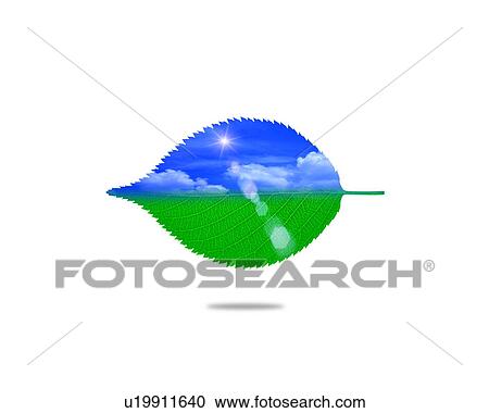 Stock Image - Leaf with image of sky, computer graphic, white background. Fotosearch