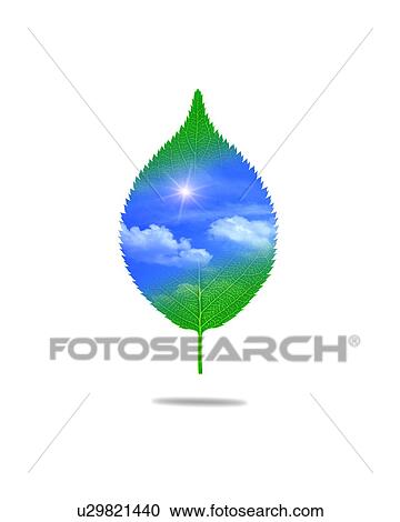 Stock Image - Leaf with image of sky, computer graphic, white background. Fotosearch