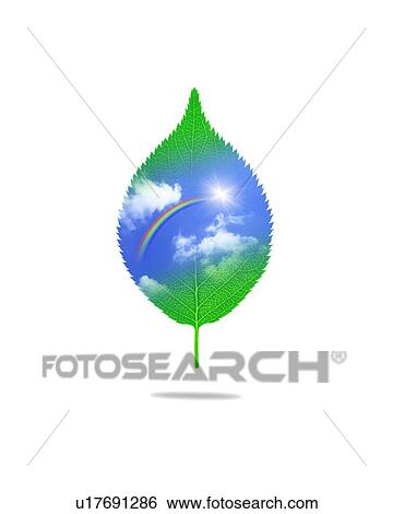Leaf with image of sky, computer graphic, white background View Large Photo Image Stock Photograph - Leaf with image of sky, computer graphic, white background. Fotosearch