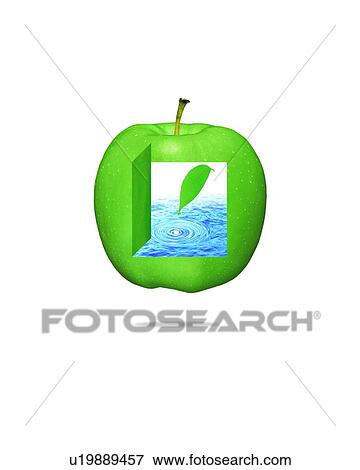 Stock Photo - Leaf with water drop and rippled water in a apple. Fotosearch