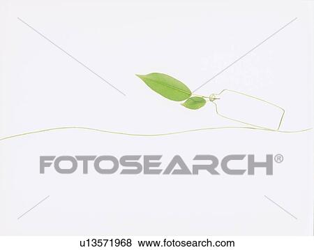 Leaves and drawing of bottle on white background View Large Photo Image Stock Photo - Leaves and drawing of bottle on white background. Fotosearch